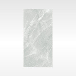 Fg Silver 600x1200 Matt