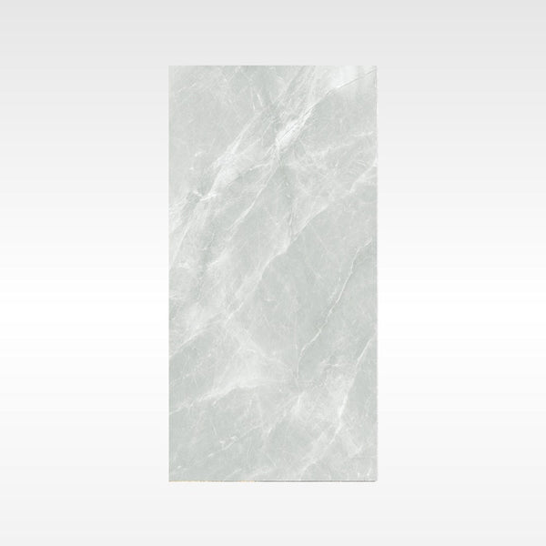 Fg Silver 600x1200 Matt