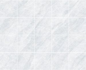 Taj Mahal Silver 600x600 Matt