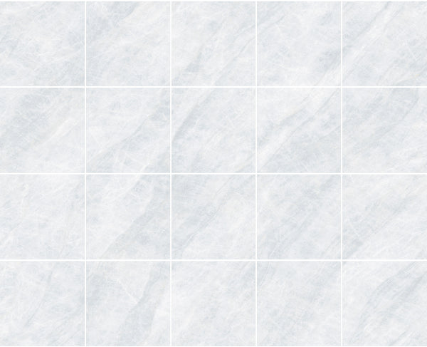 Taj Mahal Silver 600x600 Matt