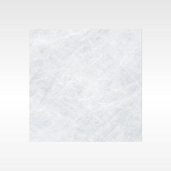 Taj Mahal Silver 600x600 Matt