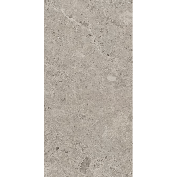 THEO DI Tile WITHTAUI3	300X600 WITHCOTT TAUPE P3