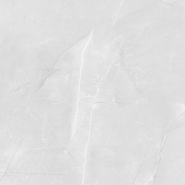 HF Vienna Grey 600x600mm Polished