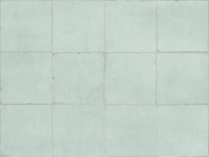 188472 DUNE VALENCIA SALVIA 200X200