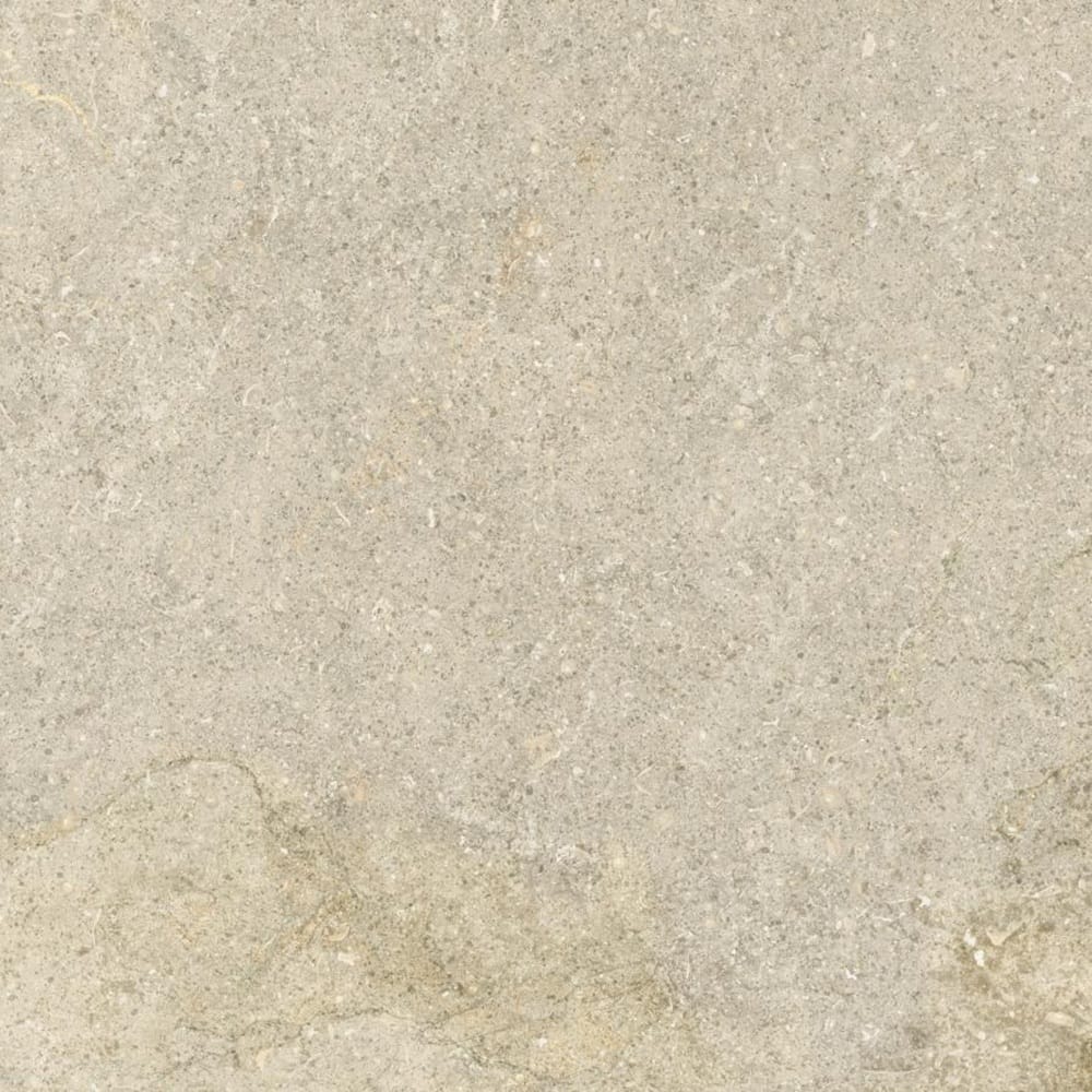 DSS Tile WIN0009 SASSI STONE BEIGE 600X600MM