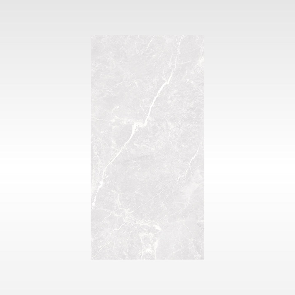 HF Tile Apex Silver Polished Tile 300x600mm