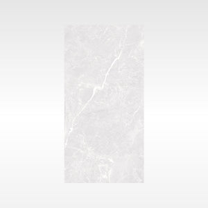 HF Tile Apex Silver Polished Tile 300x600mm