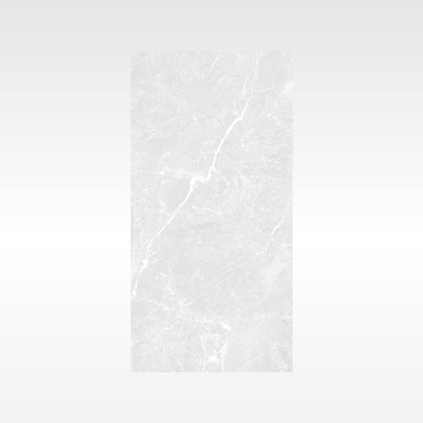 HF Tile Apex Silver Polished Tile 300x600mm