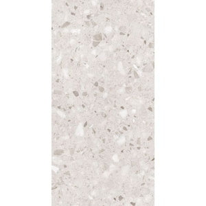 DSS Tile BEL0001	SPARKLE BEIGE TERRAZZO MATT 298X600 SKBE1224MF