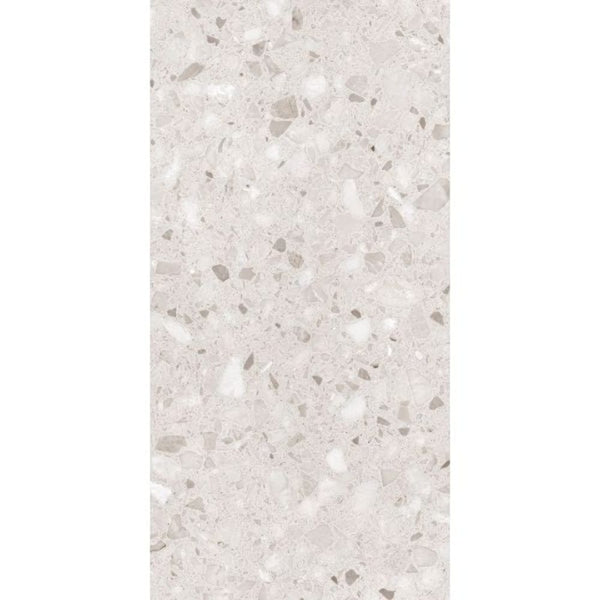 DSS Tile BEL0001	SPARKLE BEIGE TERRAZZO MATT 298X600 SKBE1224MF