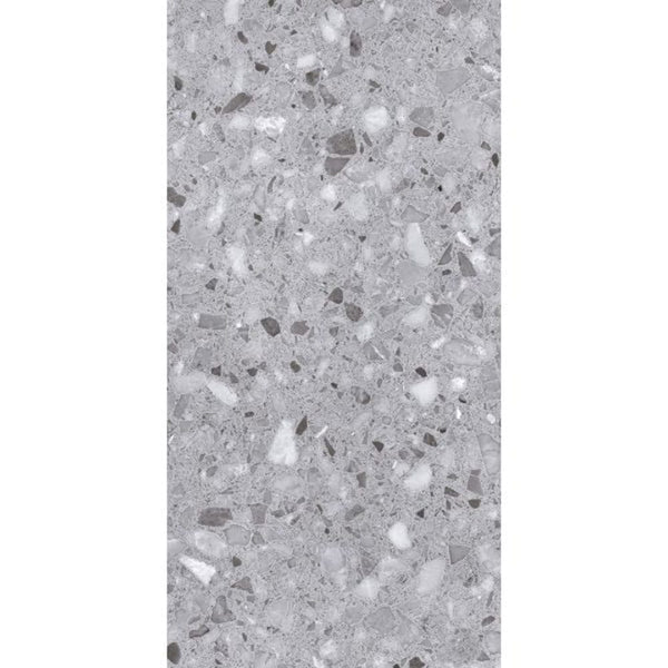 DSS Tile BEL0005 SPARKLE GREY TERRAZZO MATT 298X600 SKGR1224MF