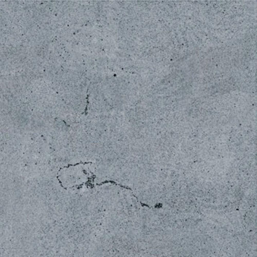 DSS Tile BOA0017 PORCELAIN BLUESTONE EXTERNAL R11 600X600X10MM BL2021ASR