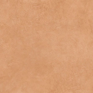 DSS Tile DMG0003 ART SERIES TERRA MATT 600X600MM SN6018ND