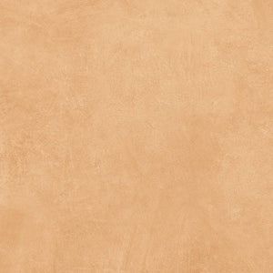 DSS Tile DMG0004 ART SERIES SAND MATT 600X600MM SN6017ND