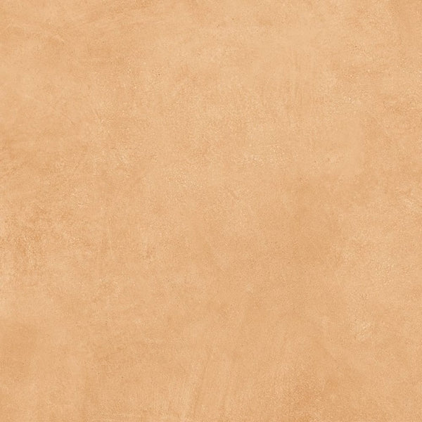 DSS Tile DMG0004 ART SERIES SAND MATT 600X600MM SN6017ND