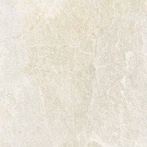 DSS Tile ENG0001 GENESIS DOVE LIGHT GREY MATT 600X600X9MM R60GEDO