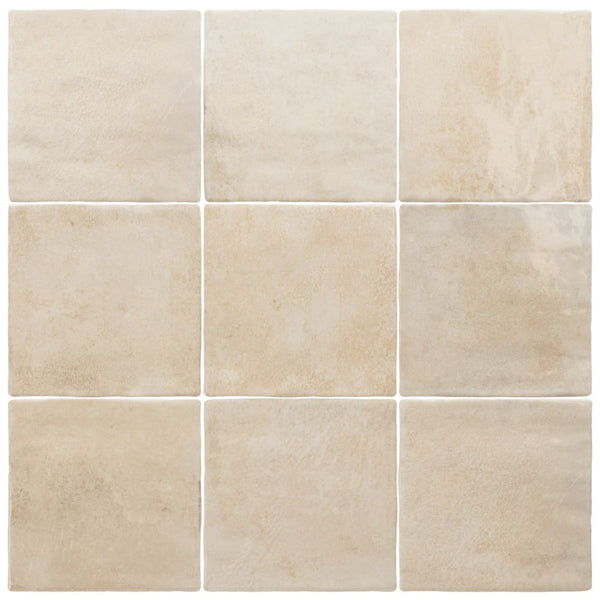 DSS Tile EQU0120 VERTICALE HOME GLOSS 100X100MM 31873