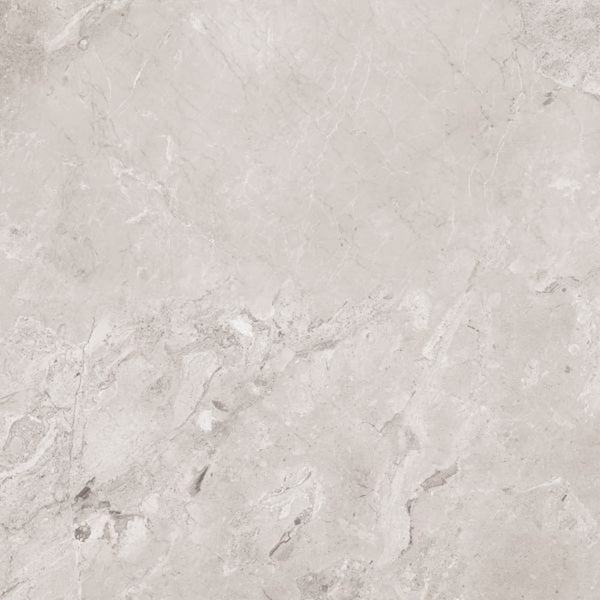DSS Tile LWT0004 LUNA CASTANO MATT 600X600MM