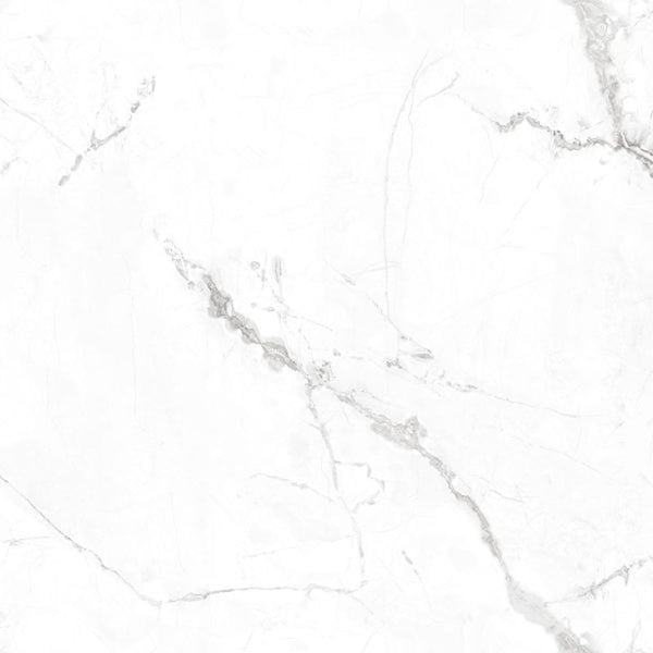 DSS Tile LWT0009 LUNA LUX – ALPINO BIANCO POLISHED 600X600MM