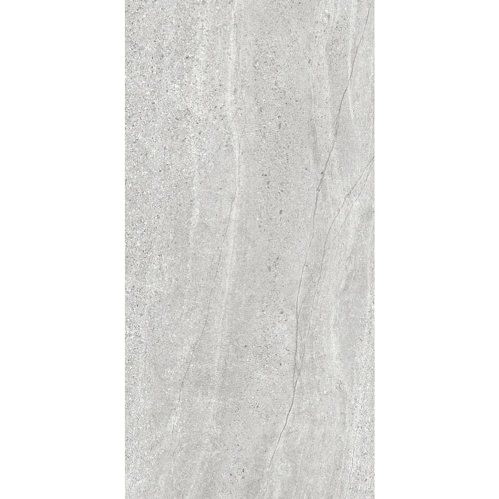 DSS Tile MAC0037 ASPEN SILVER MATT RECTIFIED 600X1200MM AS02