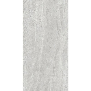 DSS Tile MAC0037 ASPEN SILVER MATT RECTIFIED 600X1200MM AS02
