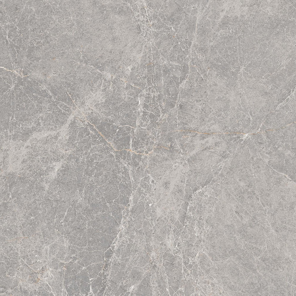 DSS Tile MAC0055 PIETRA LEADEN MATT PT03 600X600X10MM