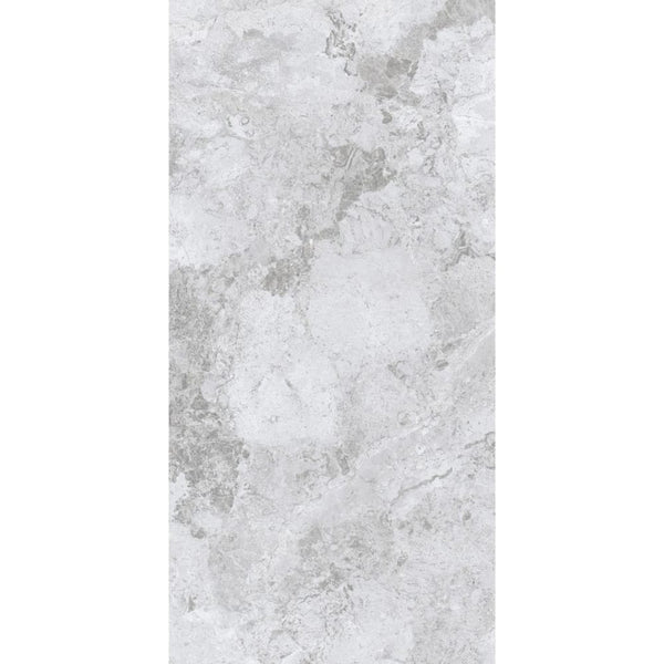 DSS Tile MEN0002 ARCTIC TUNDRA GREY POLISH 600X1200MM 12S75806