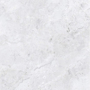 DSS Tile MEN0007 ARCTIC TUNDRA WHITE POLISH 600X600MM 6S75806-L