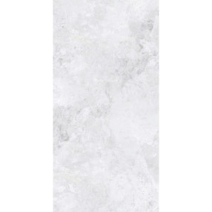 DSS Tile MEN0008 ARCTIC TUNDRA WHITE POLISH 600X1200MM 12S75806-L