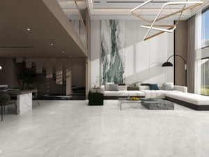 DSS Tile MEN0013 ARCTIC TUNDRA BEIGE MATT 600X600MM 6DGM12234-B