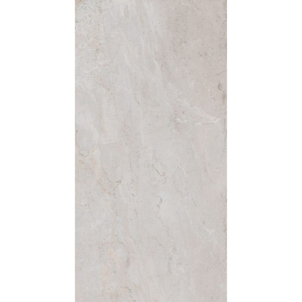 DSS Tile PAM0042 ESSENTIAL ES ERDING SILVER MATT RECTIFIED 600X1200MM