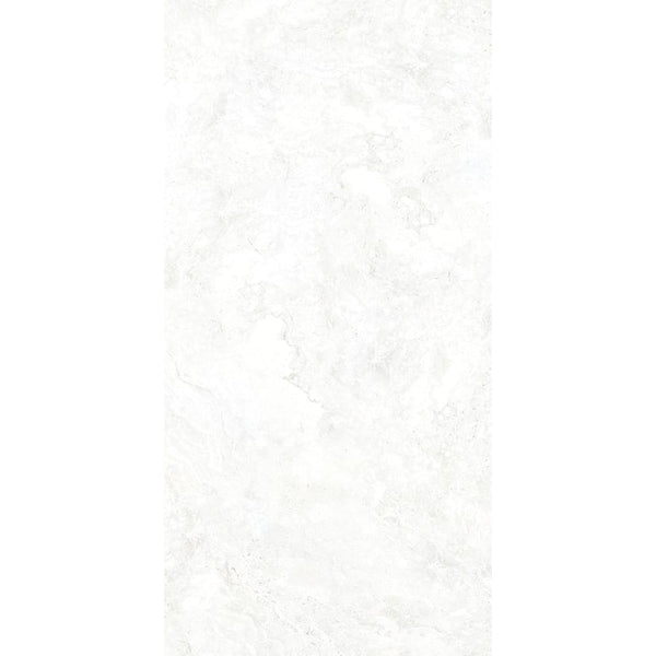 DSS Tile RTC0011	AGRIGENTO MATT 300X600MM CM63H324