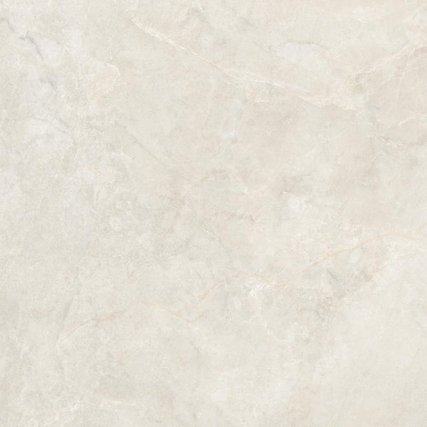 DSS Tile WIN0001 NOBLE STONE WHITE MATT 600X600X10MM