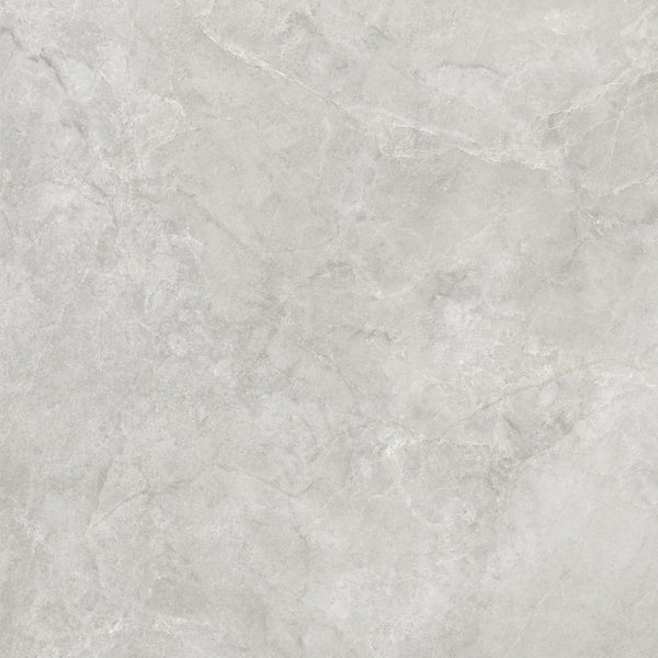 DSS Tile WIN0003 NOBLE STONE GREIGE MATT 600X600X10MM