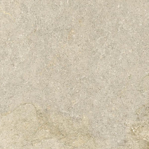 DSS Tile WIN0009 SASSI STONE BEIGE 600X600MM