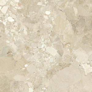 DSS Tile WIN0011	SASSI STONE BEIGE TERRAZZO 600X600MM
