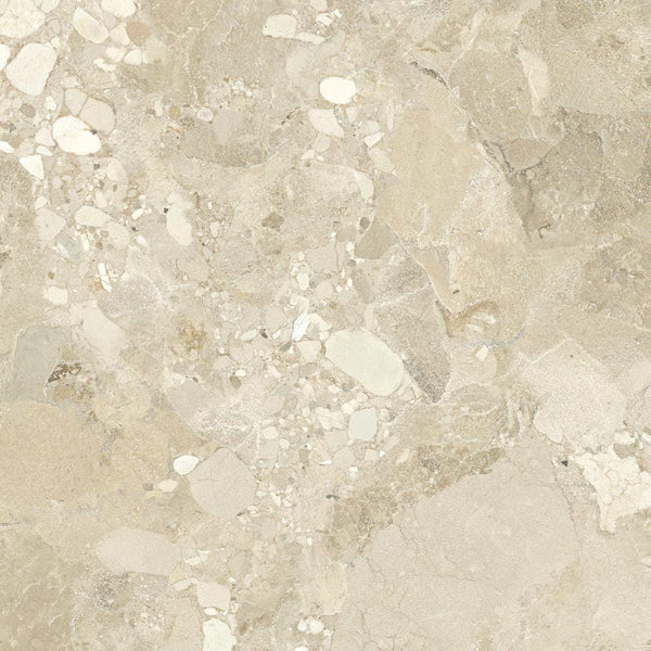 DSS Tile WIN0011	SASSI STONE BEIGE TERRAZZO 600X600MM
