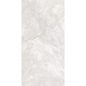 DSS Tile XIN0040 ALBA GREY POLISHED 600X1200MM M823612P
