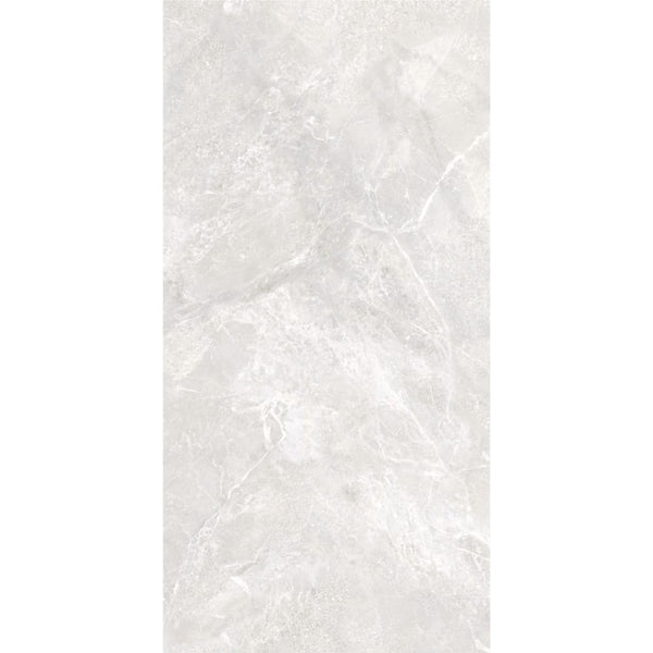 DSS Tile XIN0040 ALBA GREY POLISHED 600X1200MM M823612P