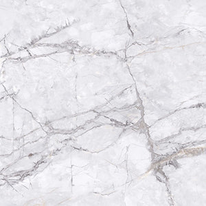 EV Tile GP-EL-ING6060M Elite Marble Invisible Grigio 600x600 Matt