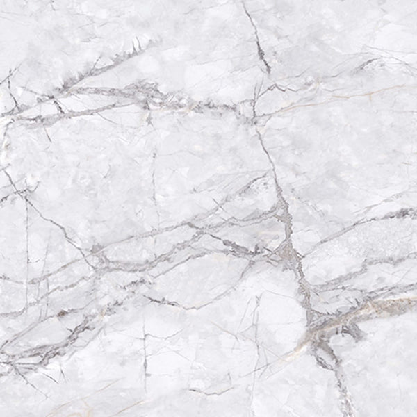 EV Tile GP-EL-ING6060M Elite Marble Invisible Grigio 600x600 Matt