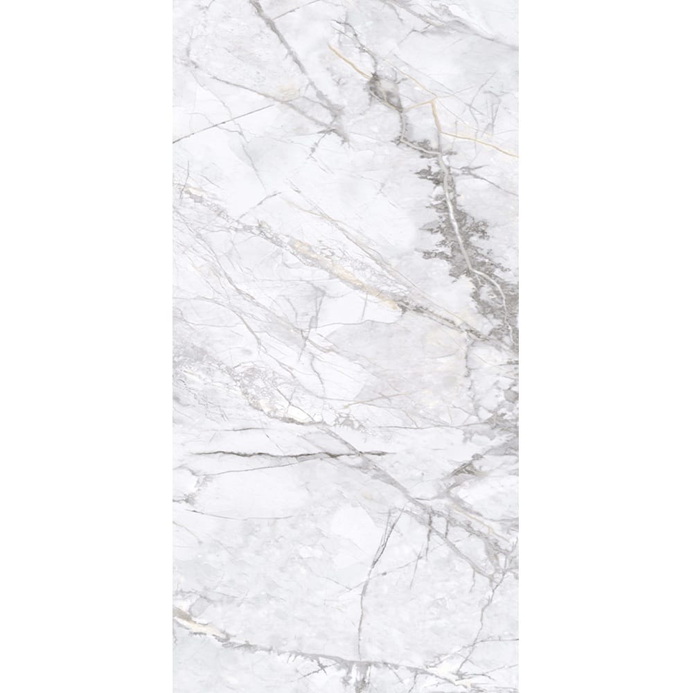 EV Tile GP-EL-ING12060N Elite Marble Invisible Grigio  600x1200 Natural