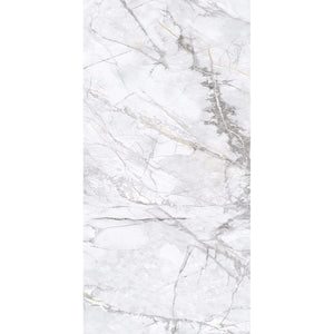 EV Tile GP-EL-ING12060N Elite Marble Invisible Grigio  600x1200 Natural