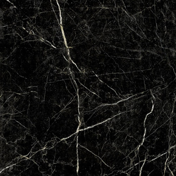 EV Tile GP-EM-NRM6060P Euromarmo Nero Marquina 600x600 Polished Glazed