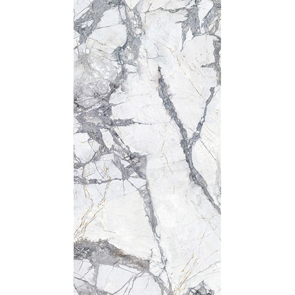 Everstone Tile Everstone Aurora Natural Finish 600x1200mm Made in Italy - Invisible Grey