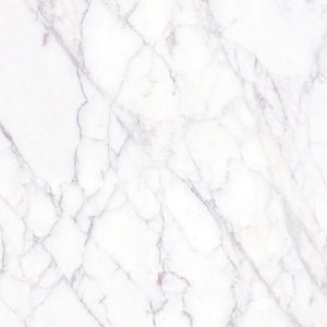 Everstone Tile Everstone Florence Natural Finish 1200x1200mm Made in Italy - Palladio