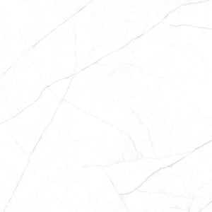Everstone Tile Everstone Florence Natural Finish 600x600mm Made in Italy - Michelangelo