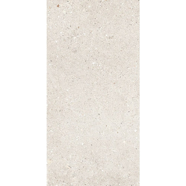 Everstone Tile Everstone Frammenti Matt Finish 300x600mm Made in Italy - Beige