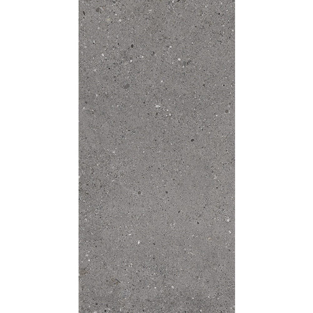 Everstone Tile Everstone Frammenti Matt Finish 300x600mm Made in Italy - Fumo