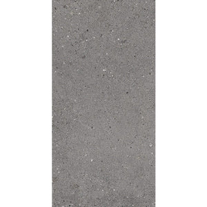 Everstone Tile Everstone Frammenti Matt Finish 300x600mm Made in Italy - Fumo